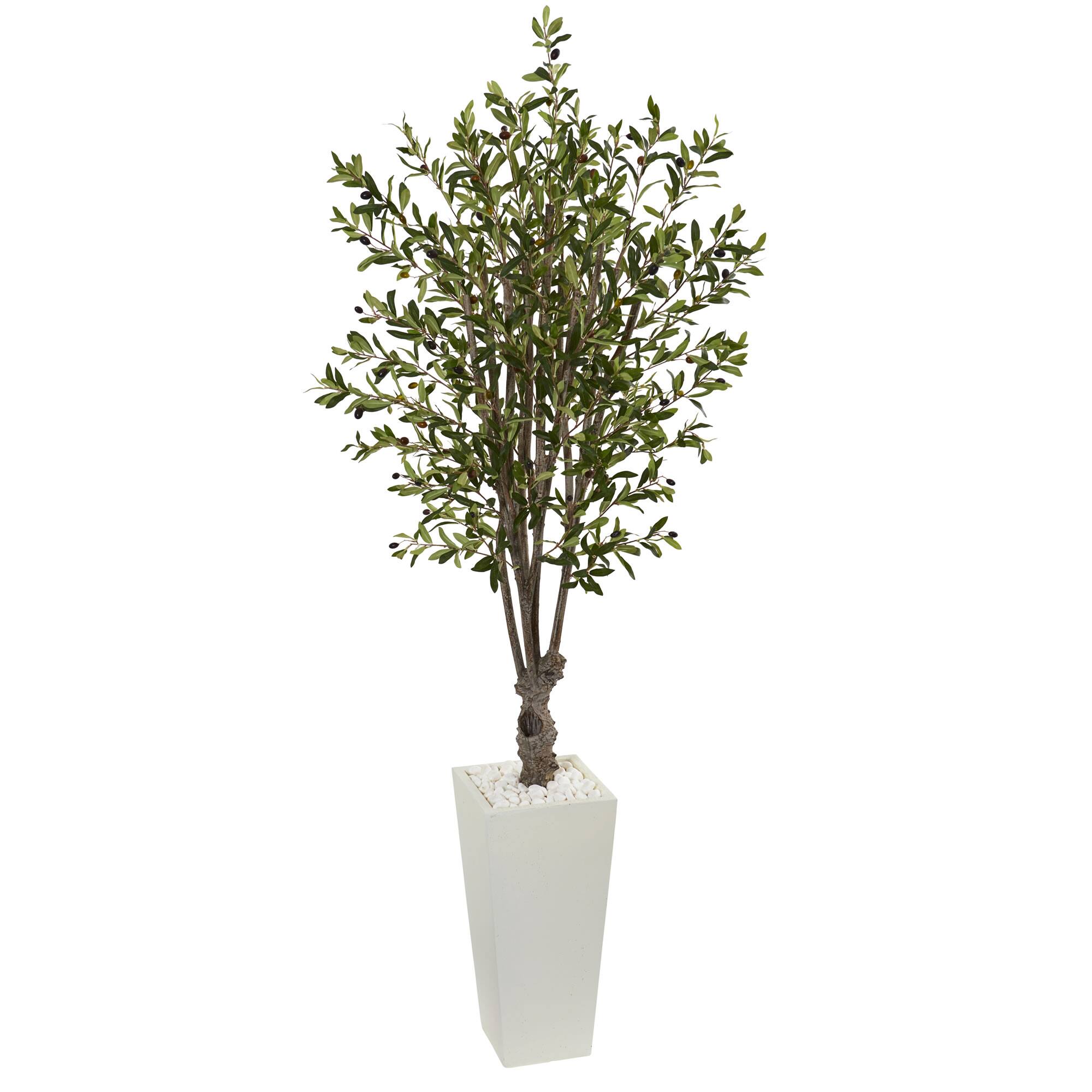 6ft. Olive Tree In White Tower Planter